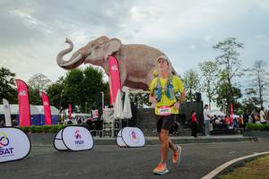 BIB: 
                            <button type="button" onclick="openModal(26528667)" class="btn btn-primary btn-sm float-right btn-popup" data-toggle="modal" data-target=".modal-high-quality">
                        <i class="fas fa-shopping-cart"></i> Add to Cart
                    </button>
                                            <button type="button" onclick="isThisMe(26528667, true)" class="btn btn-success btn-sm float-right btn-popup btn-isme hidden" data-toggle="tooltip" data-placement="bottom" title="นี่คือรูปของคุณใช่ไหม คลิกที่นี่เพื่อเอาเข้าอัลบั้ม">
                        <i class="fas fa-plus"></i> Add to album
                    </button>
                    <button type="button" onclick="isThisMe(26528667, false)" class="btn btn-warning btn-sm float-right btn-popup btn-isnotme hidden">
                        <i class="fas fa-ban"></i> Remove from album
                    </button>